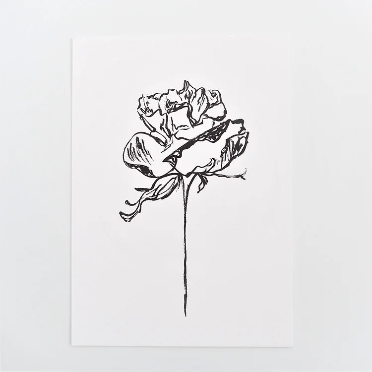Rose 06