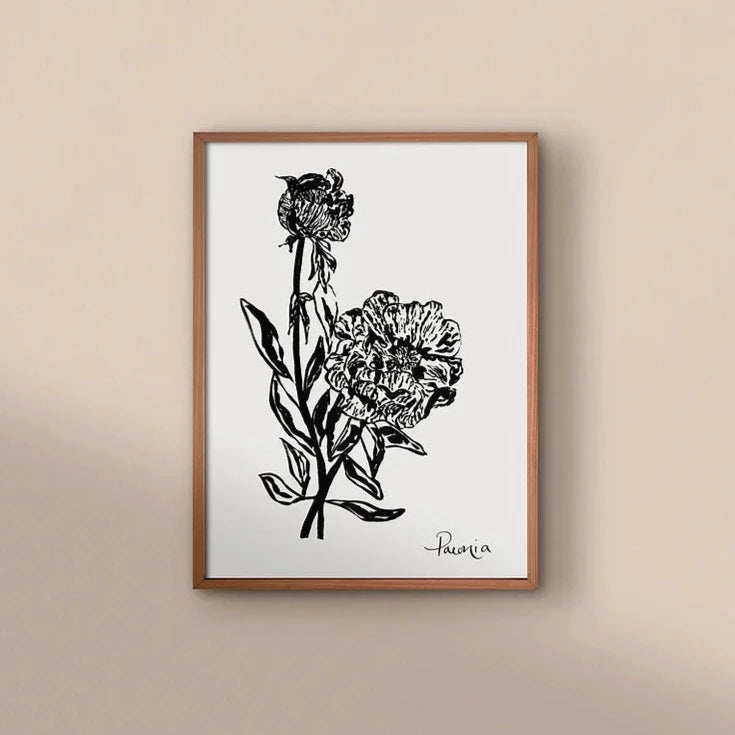 Paeonia Print