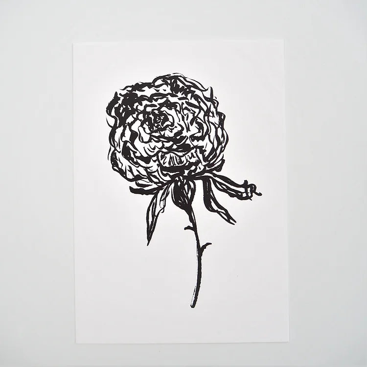 Peony 02