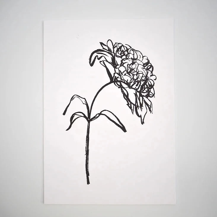 Peony 01
