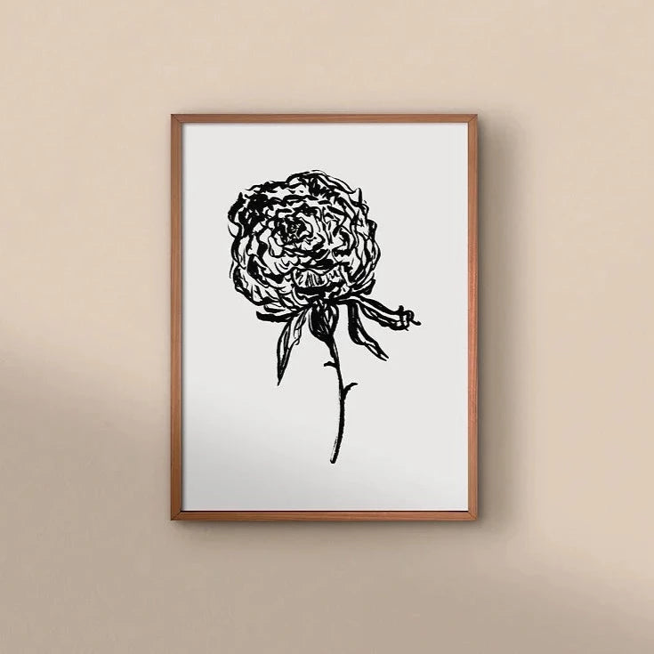 Peony 02