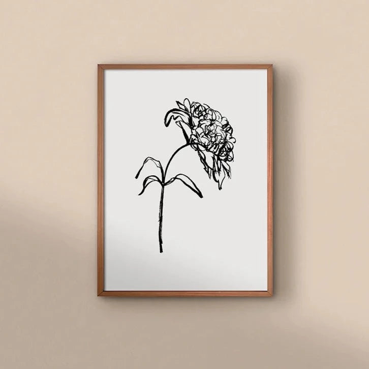 Peony 01