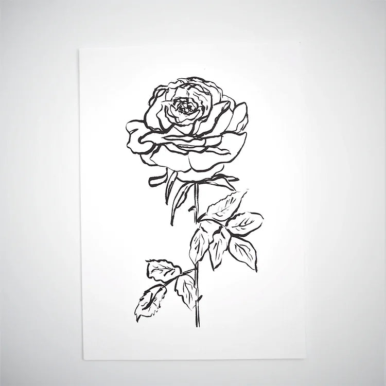 Rose 01