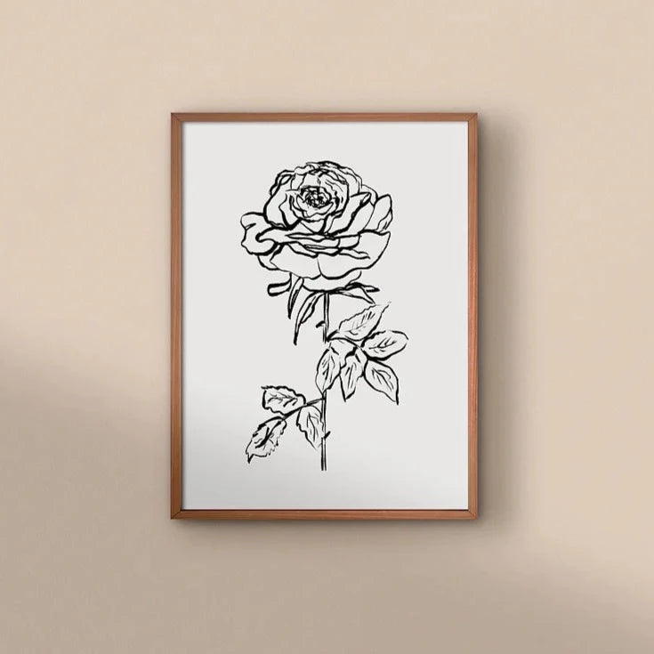 Rose 01