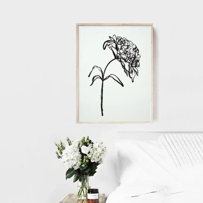 Peony 01