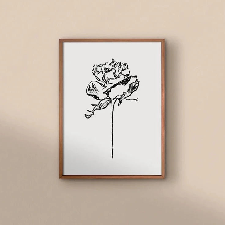 Rose 06