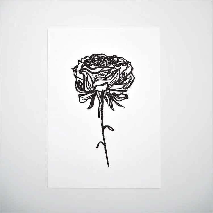 Rose 04
