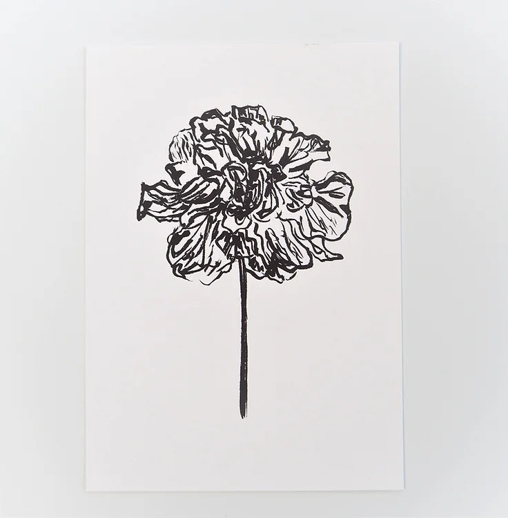 Peony 04
