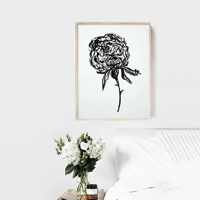 Peony 02
