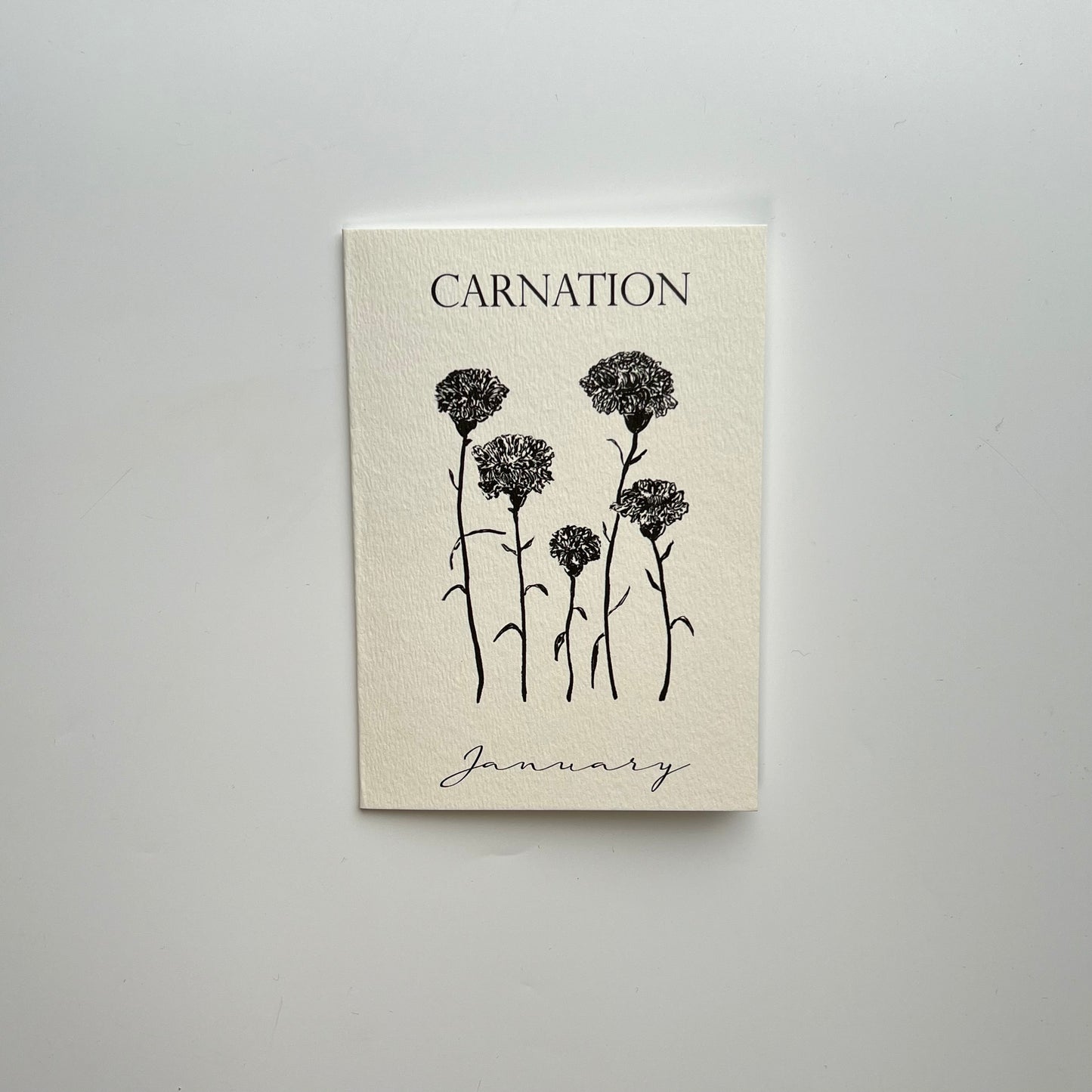 January Birth Flower Card | Carnation Birthday Card | Winter Birthday
