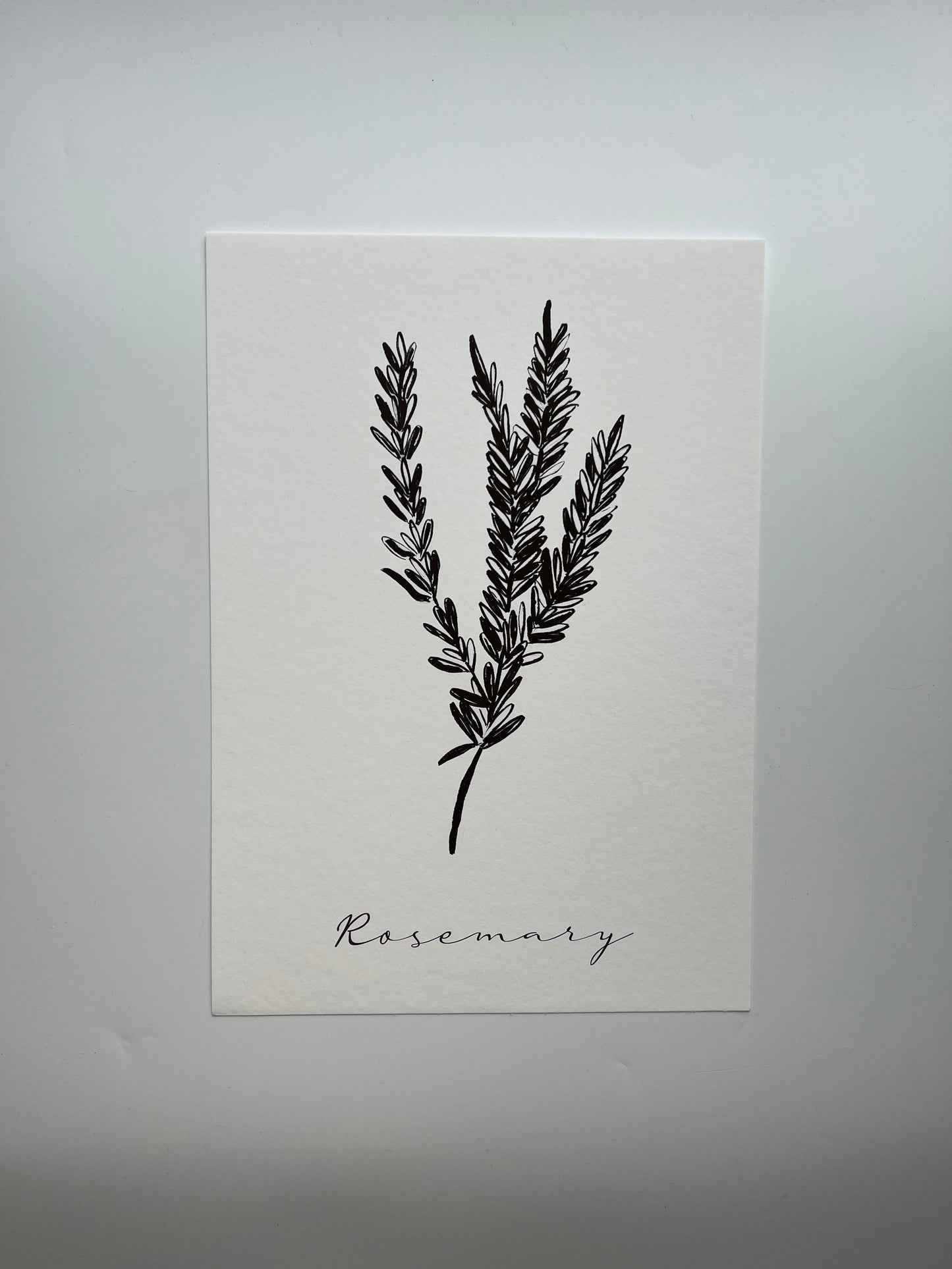 Rosemary Print