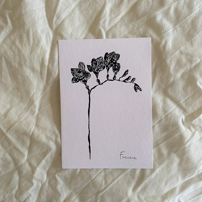 Freesia