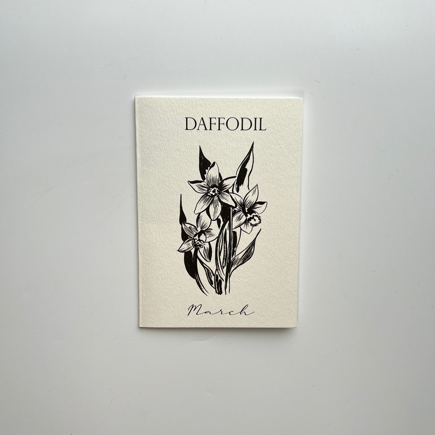 March Birth Flower Card | Daffodil Birthday Card | Spring Birthday Card
