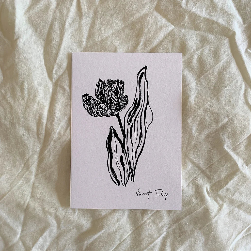 Open Parrot Tulip