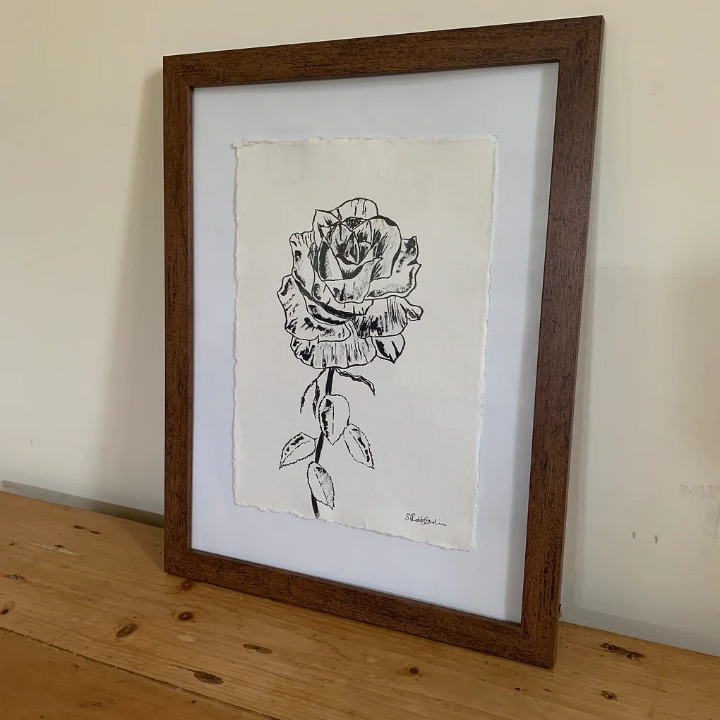 Open Rose