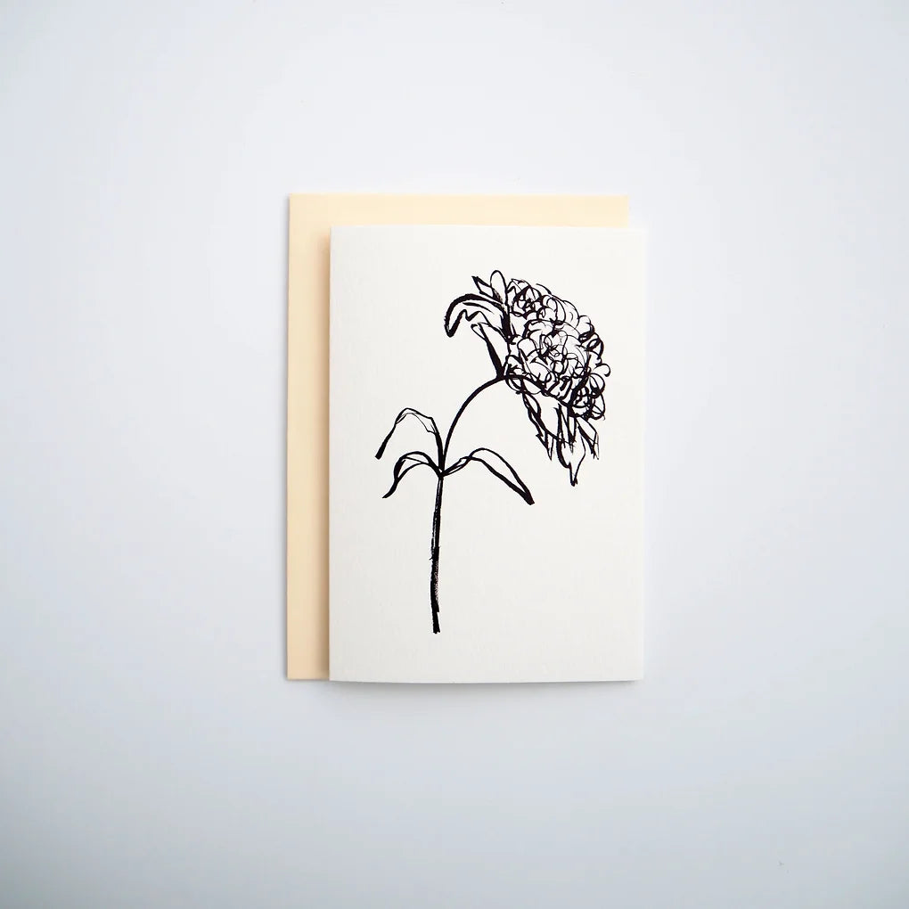 Peony 01 Greeting Card | Peony Art Card
