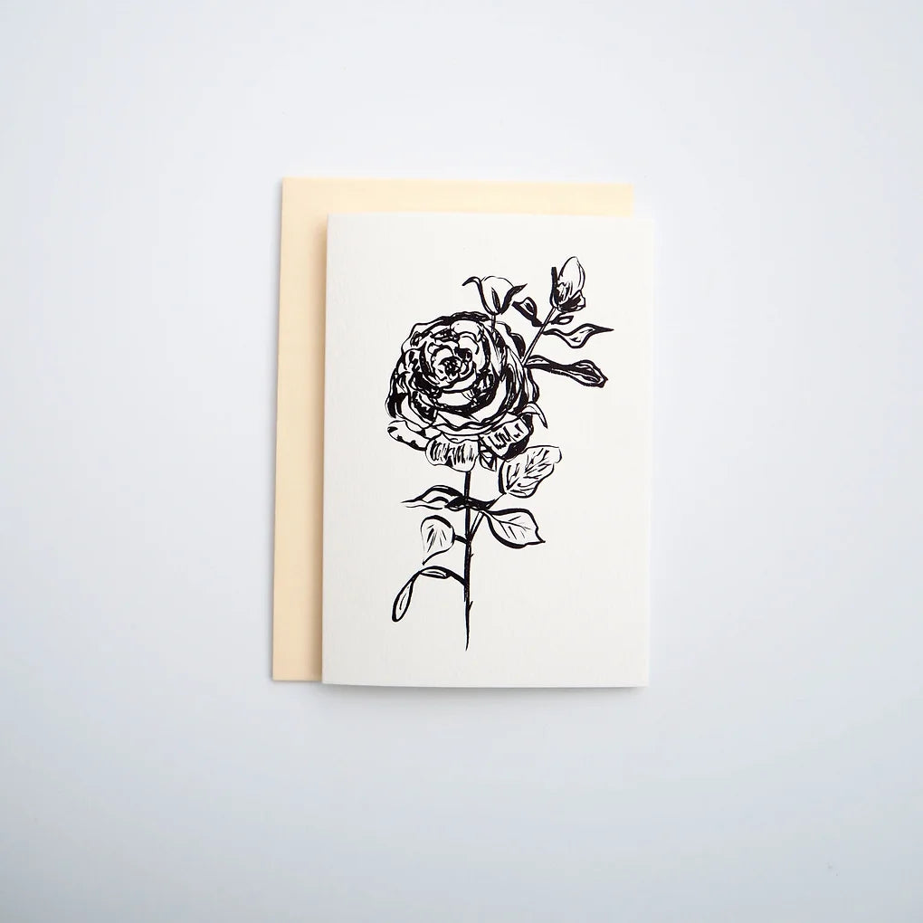 Rose 02