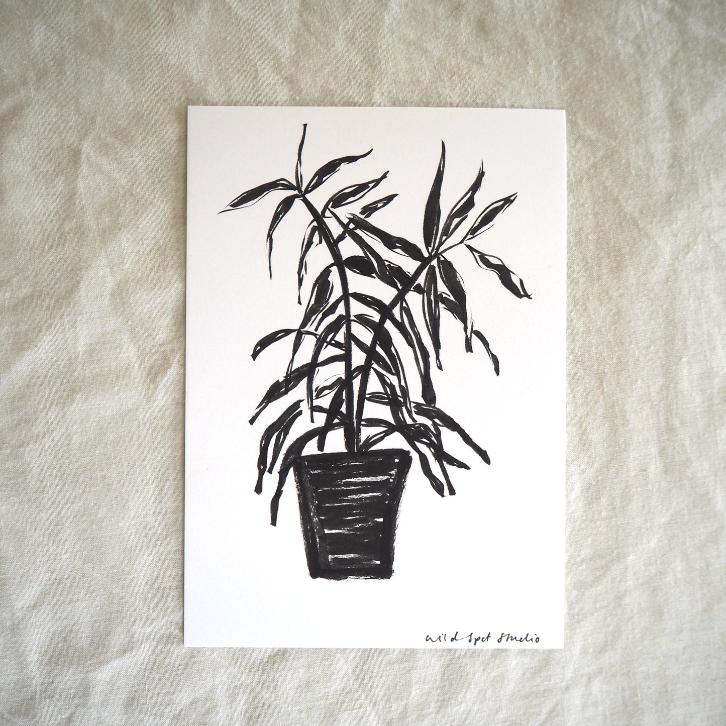 Dark Palms