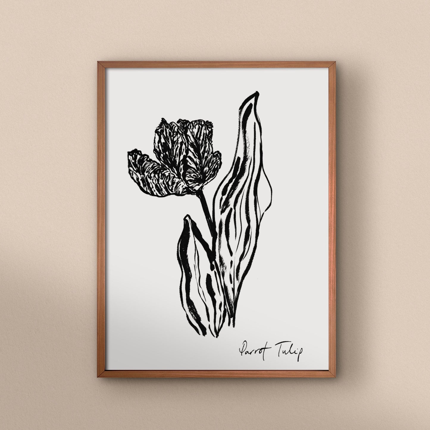 Open Parrot Tulip