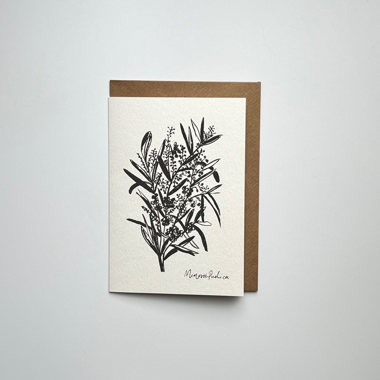 Mimosa Card