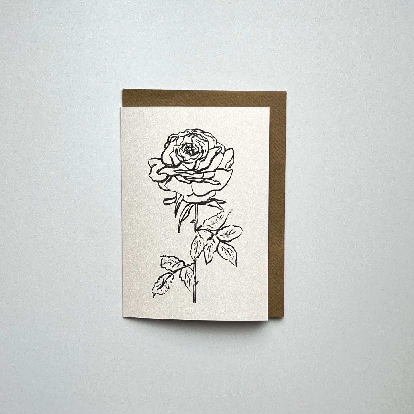 Rose 01