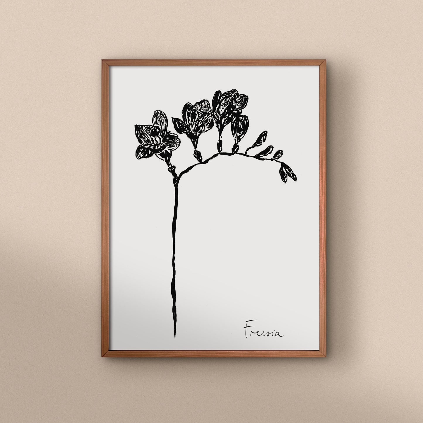 Freesia