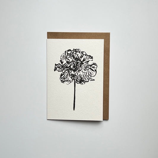 Peony 04