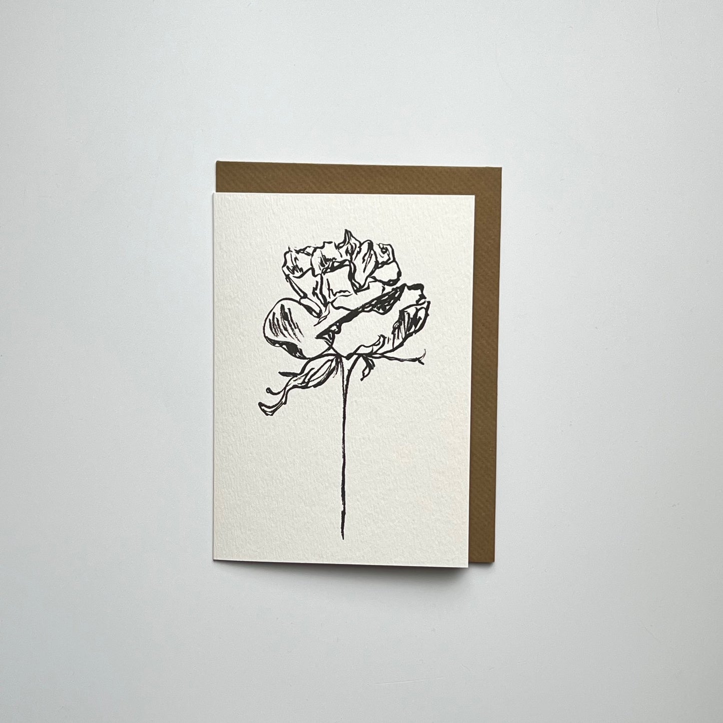 Rose 06