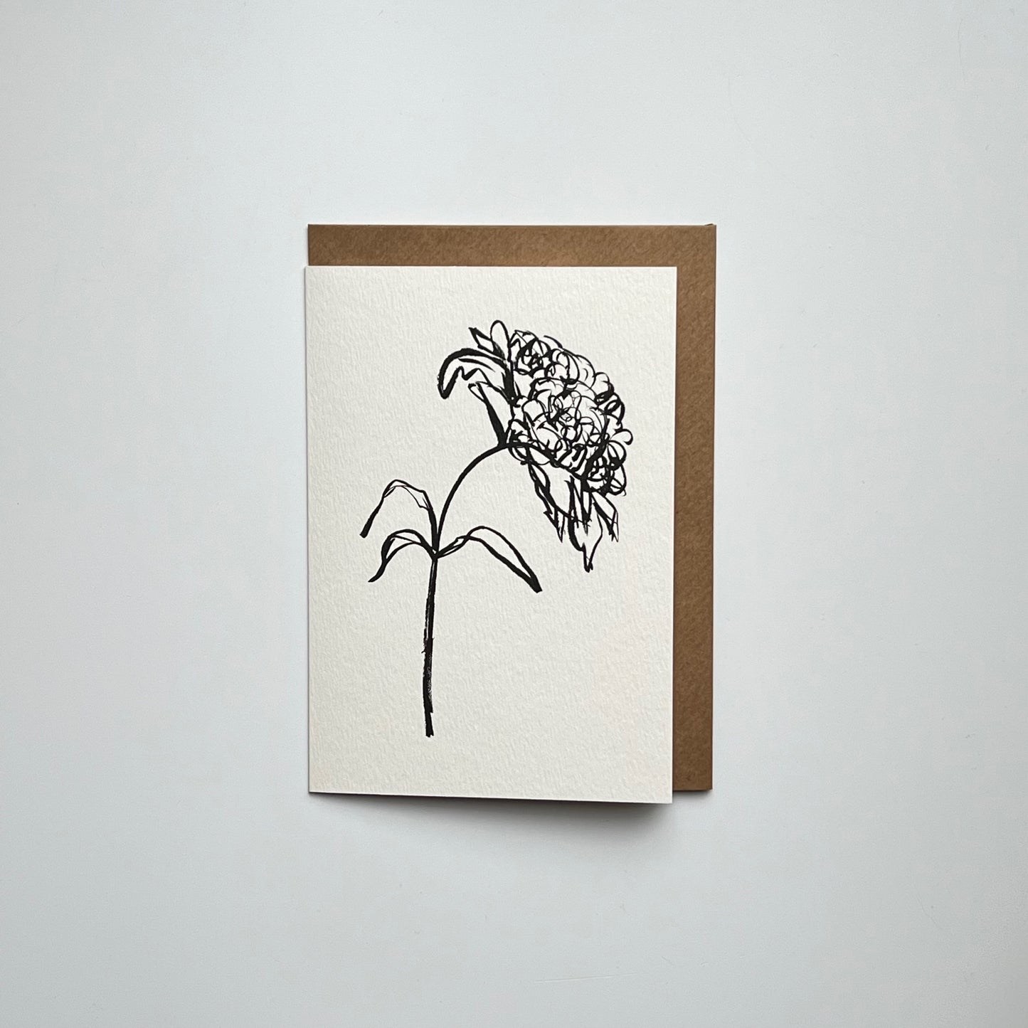 Peony 01