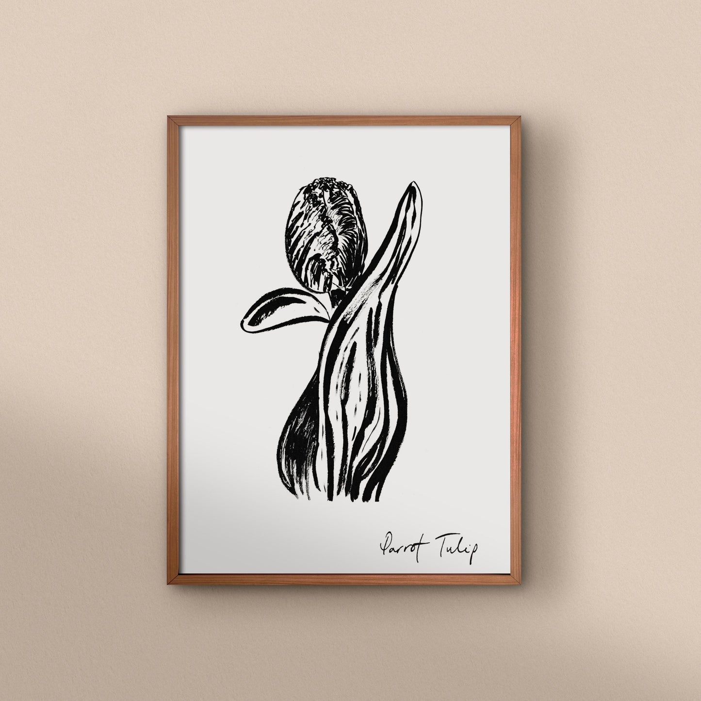 Closed Parrot Tulip