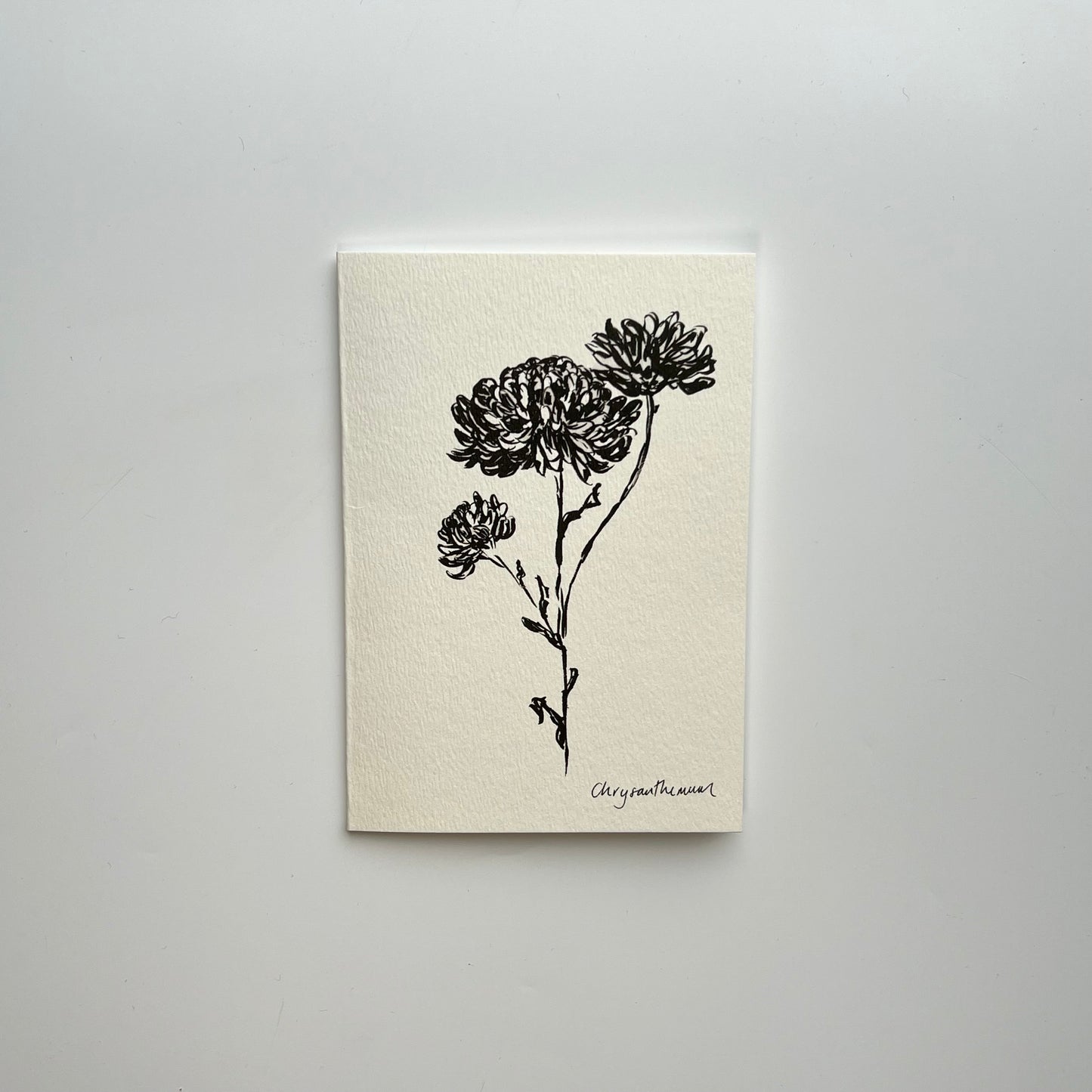 Chrysanthemum card - condolences