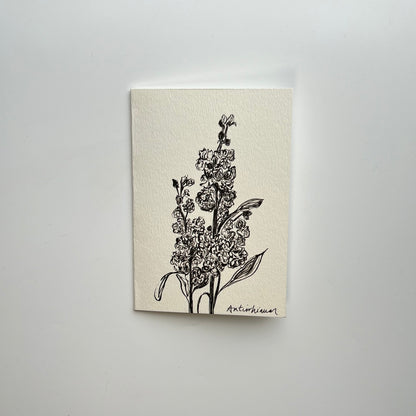 Antirrhinum - snapdragons card