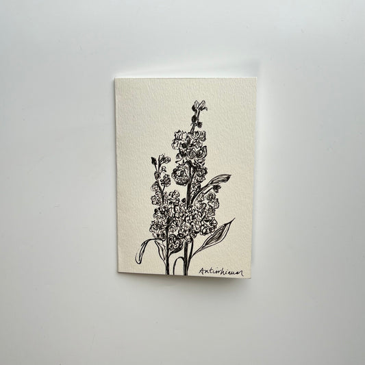 Antirrhinum - snapdragons card