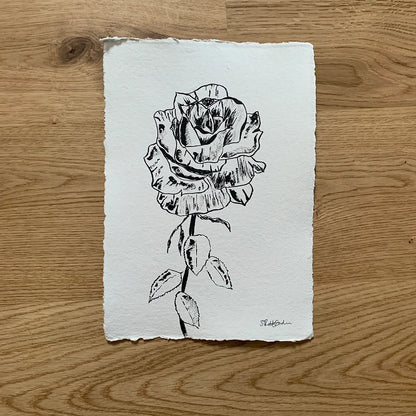 Open Rose