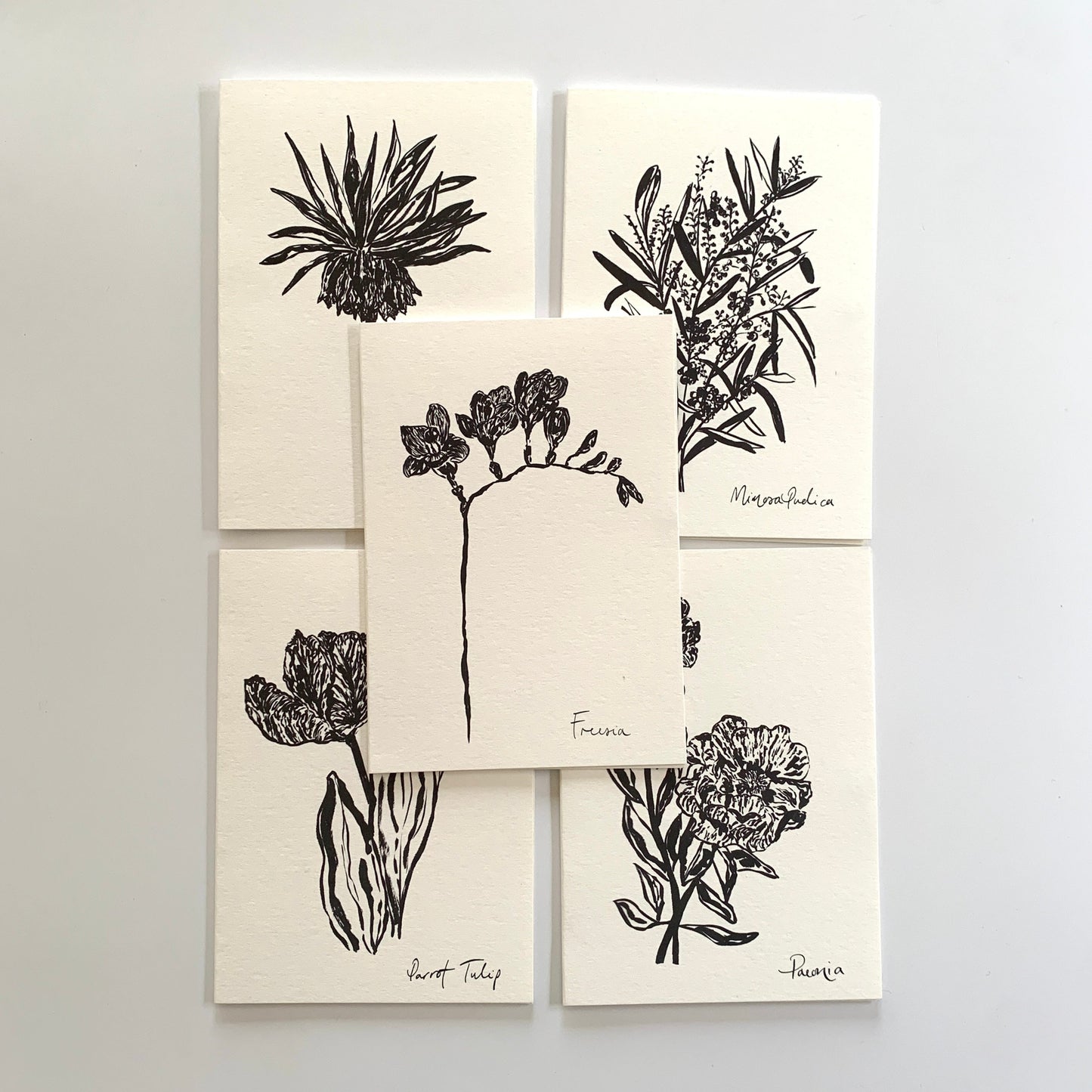Floral Art Card Pack